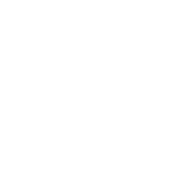 ALPA, Services aux immigrants